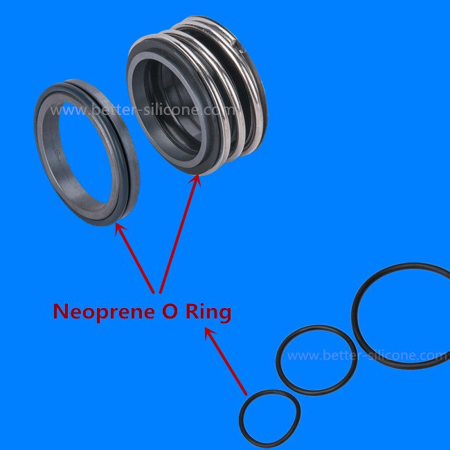 oil seal