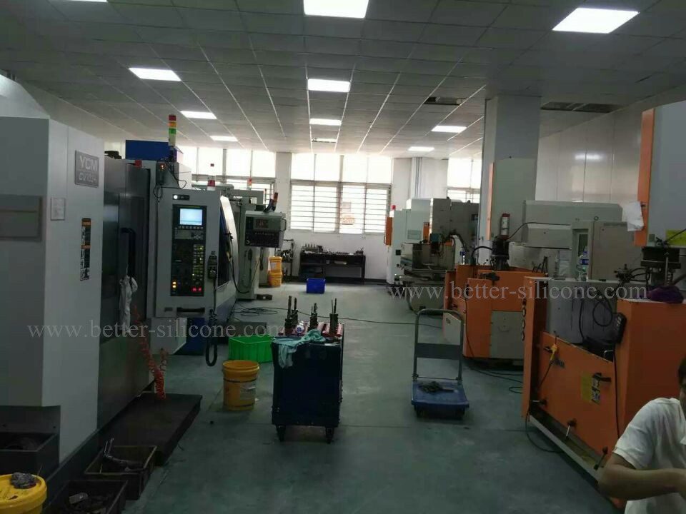 silicone moulding