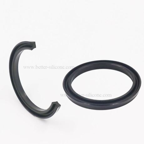 Silicone Rubber Compression Mold for Seals