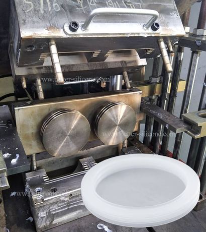 Silicone Compression Mold